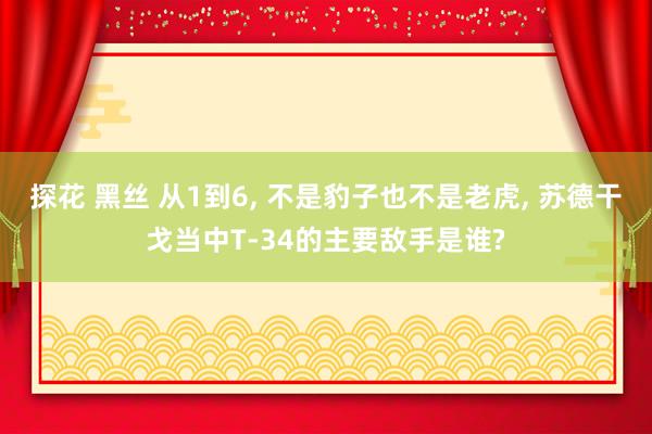探花 黑丝 从1到6， 不是豹子也不是老虎， 苏德干戈当中T-34的主要敌手是谁?