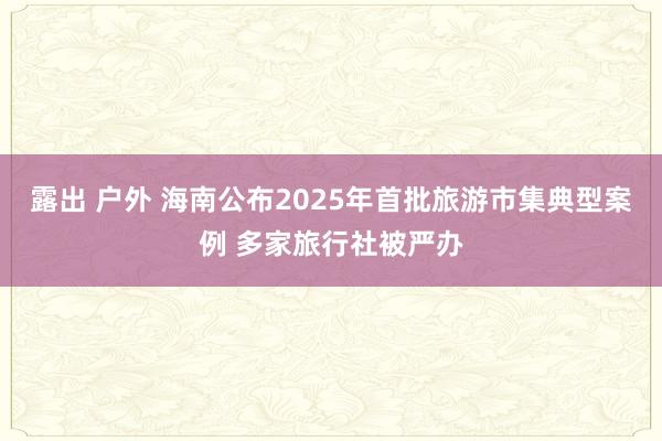 露出 户外 海南公布2025年首批旅游市集典型案例 多家旅行社被严办