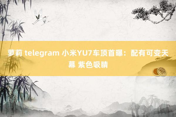 萝莉 telegram 小米YU7车顶首曝：配有可变天幕 紫色吸睛