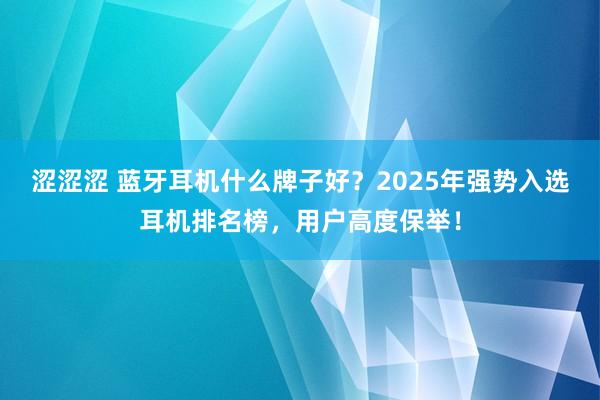 涩涩涩 蓝牙耳机什么牌子好？2025年强势入选耳机排名榜，用户高度保举！