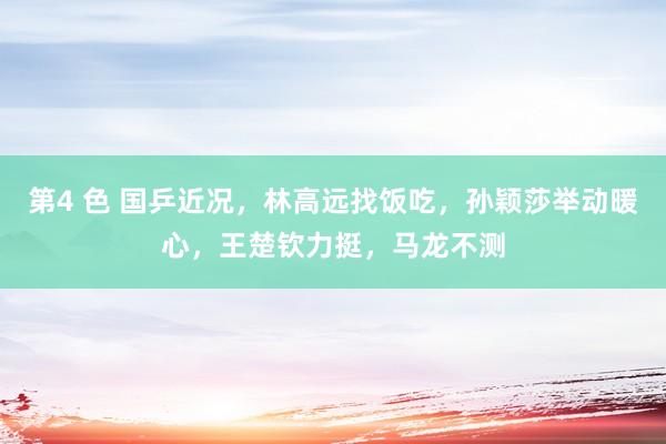 第4 色 国乒近况，林高远找饭吃，孙颖莎举动暖心，王楚钦力挺，马龙不测
