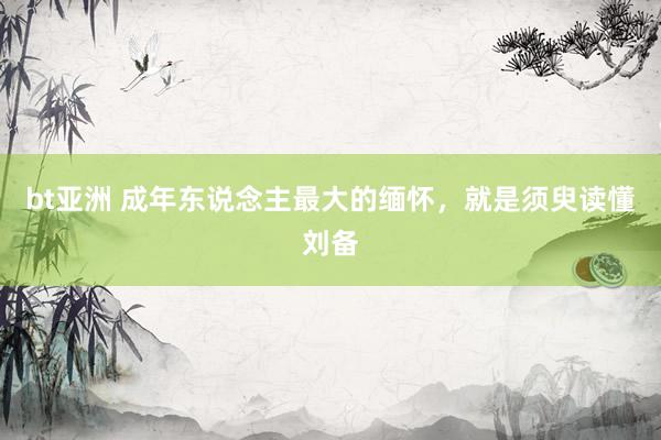 bt亚洲 成年东说念主最大的缅怀，就是须臾读懂刘备