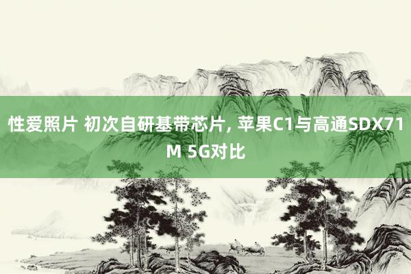 性爱照片 初次自研基带芯片， 苹果C1与高通SDX71M 5G对比