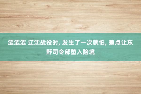 涩涩涩 辽沈战役时， 发生了一次就怕， 差点让东野司令部堕入险境