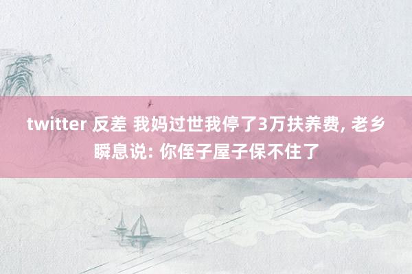 twitter 反差 我妈过世我停了3万扶养费， 老乡瞬息说: 你侄子屋子保不住了