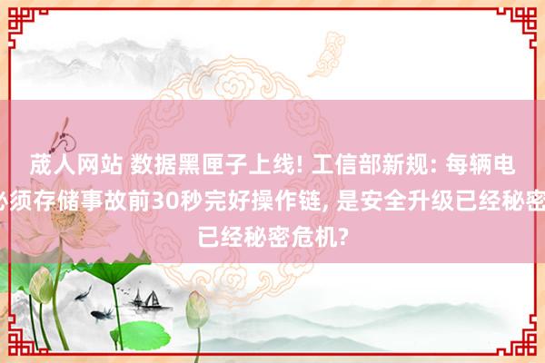 荿人网站 数据黑匣子上线! 工信部新规: 每辆电动车必须存储事故前30秒完好操作链， 是安全升级已经秘密危机?