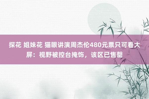 探花 姐妹花 猫眼讲演周杰伦480元票只可看大屏：视野被控台掩饰，该区已售罄