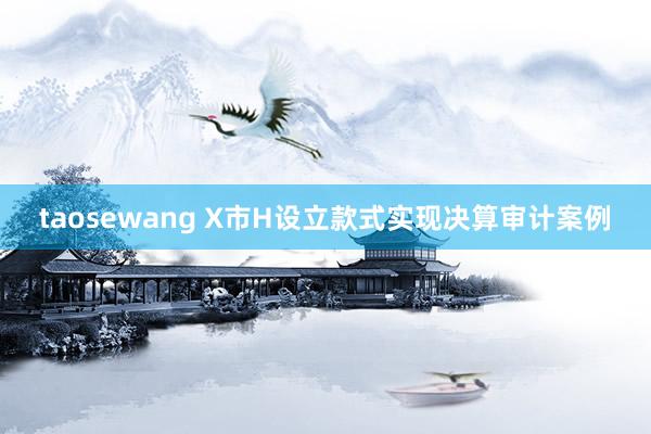 taosewang X市H设立款式实现决算审计案例
