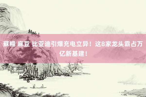 蘇暢 麻豆 比亚迪引爆充电立异！这8家龙头霸占万亿新基建！