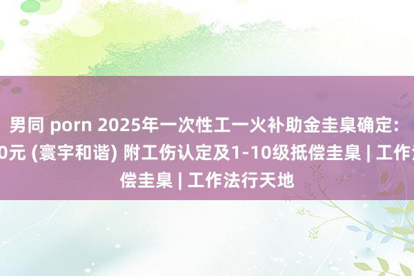 男同 porn 2025年一次性工一火补助金圭臬确定: 1083760元 (寰宇和谐) 附工伤认定及1-10级抵偿圭臬 | 工作法行天地