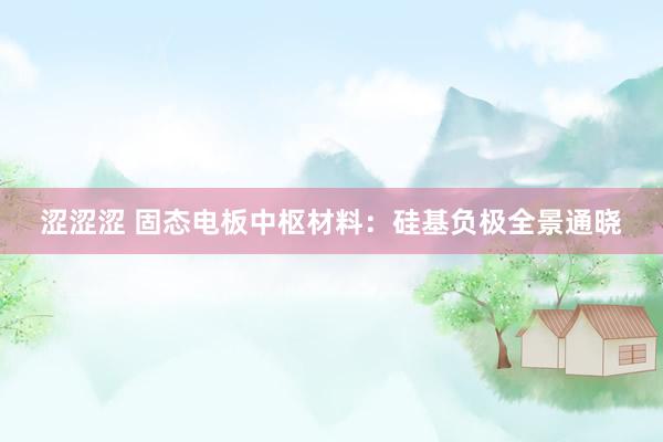 涩涩涩 固态电板中枢材料：硅基负极全景通晓