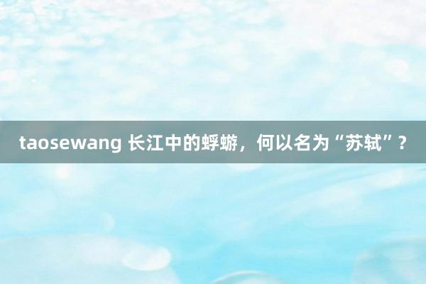 taosewang 长江中的蜉蝣，何以名为“苏轼”？
